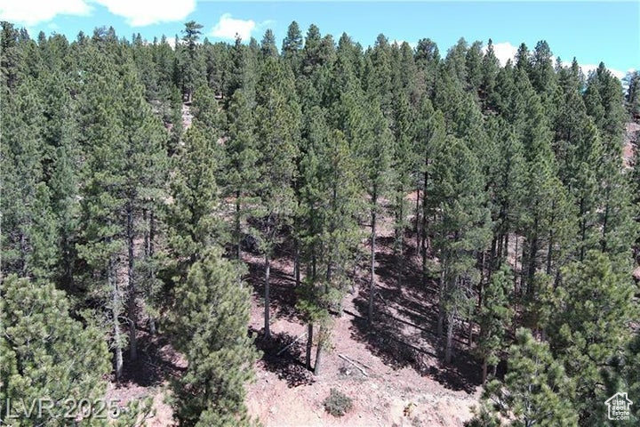 PONDEROSA VILLA SUBDIVISION - Land