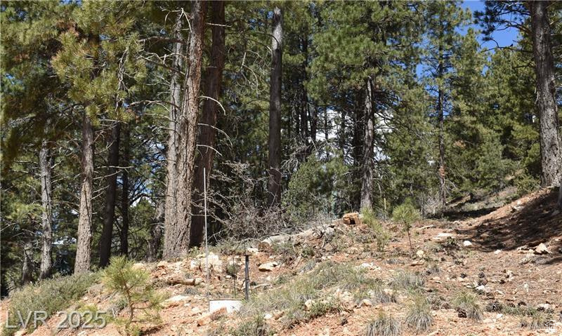 PONDEROSA VILLA SUBDIVISION - Land