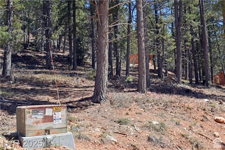 PONDEROSA VILLA SUBDIVISION - Land