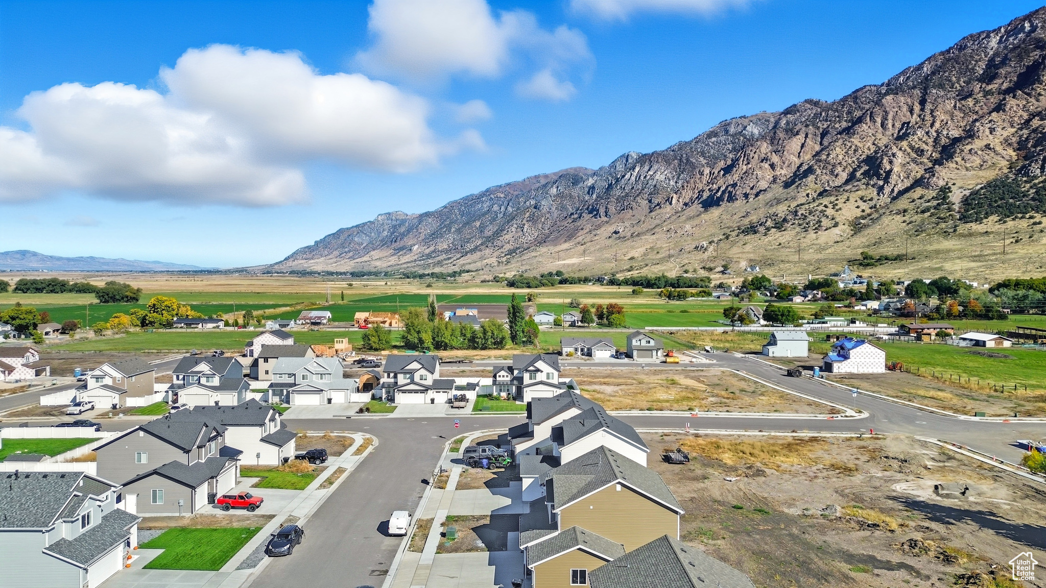 CARDAMINE - Residential