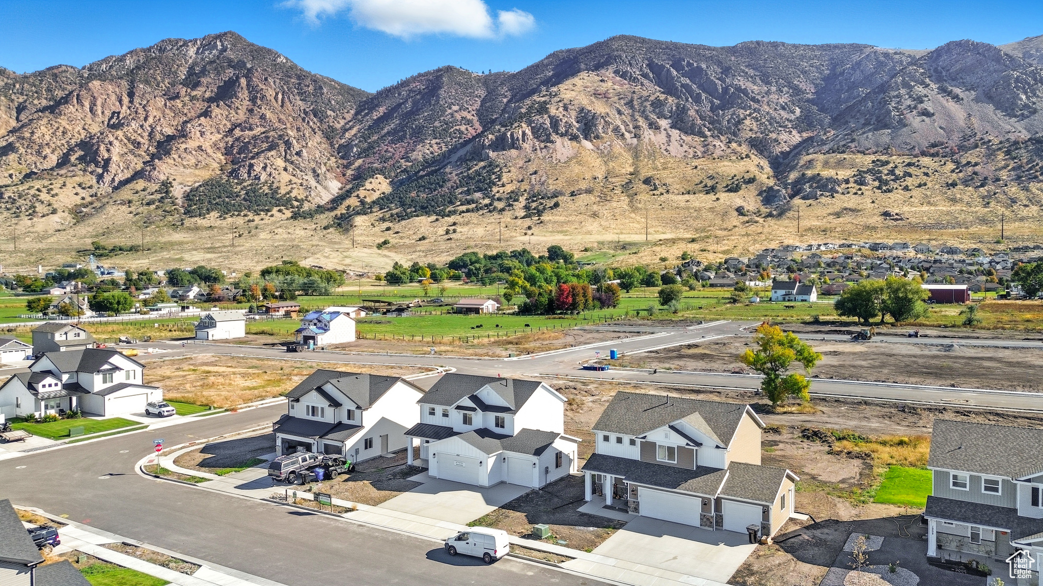 CARDAMINE - Residential