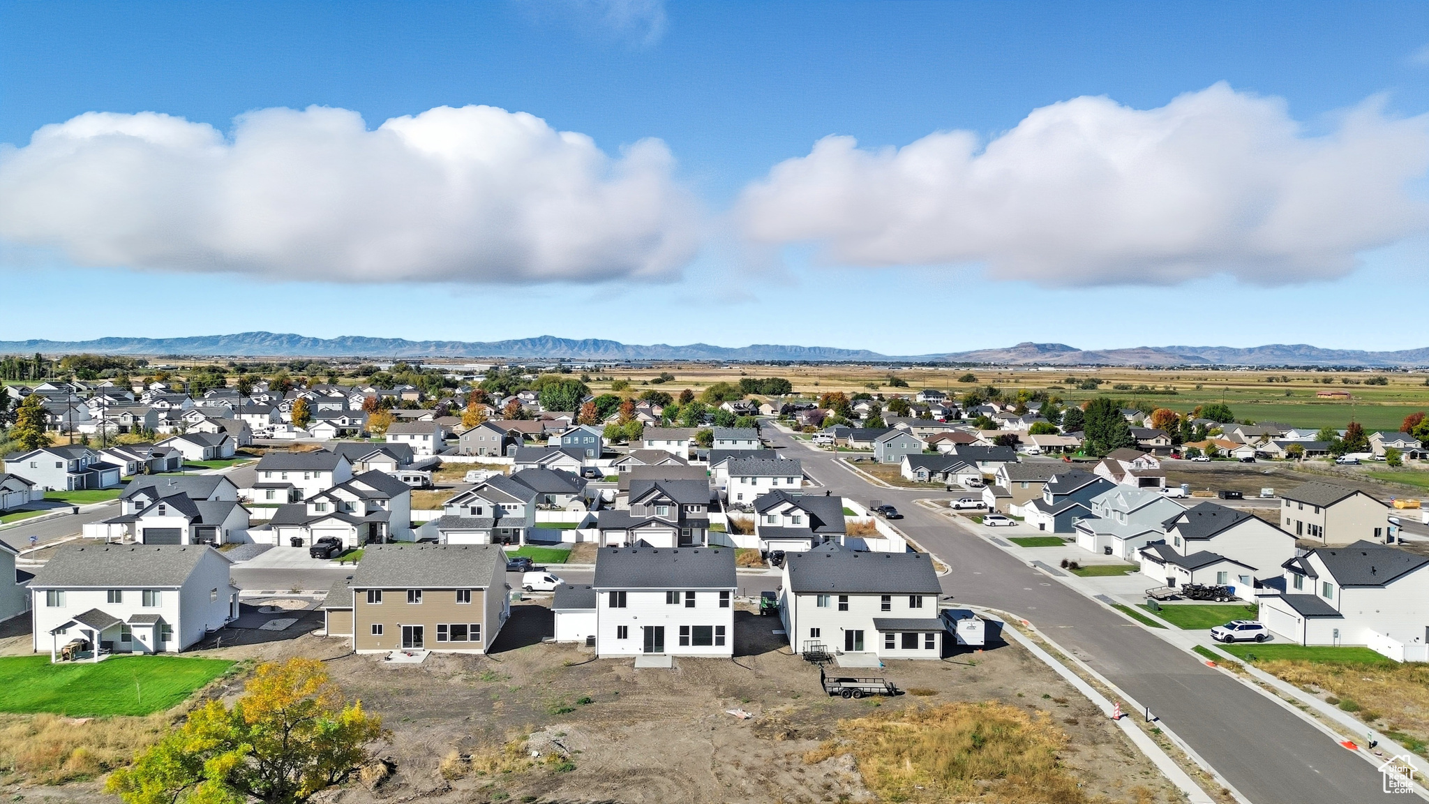 CARDAMINE - Residential