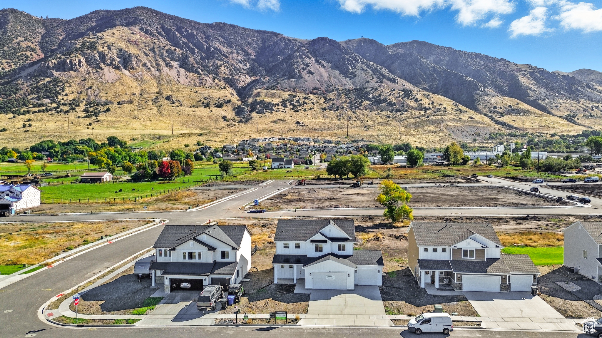 CARDAMINE - Residential