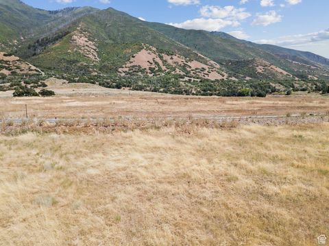 Tiny photo for 2116 S VALLEY VIEW DR #58, Mapleton, UT 84664 (MLS # 2099917)