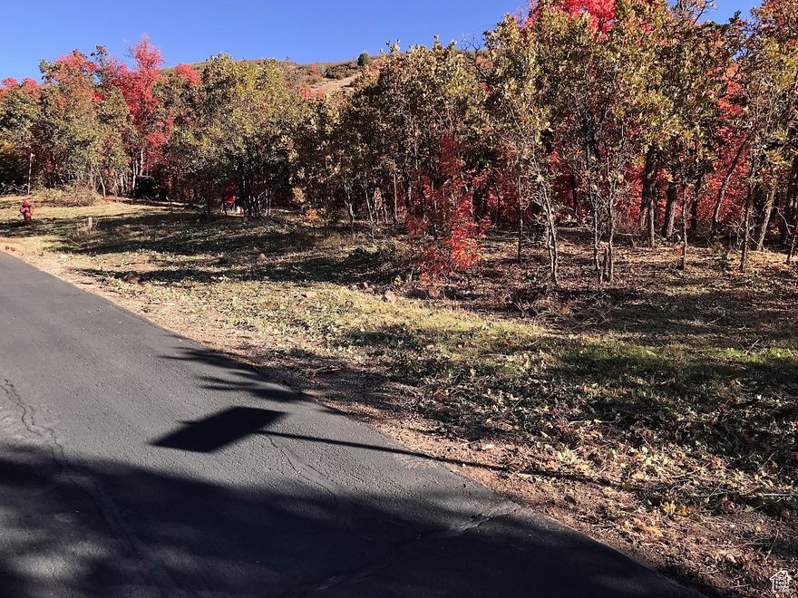 Prime 0.96-acre lot in a desirable Springville location! Perfect for building your dream home or investment property. Enjoy stunning mountain views & a peaceful setting.  Hidden Creek Water Company (801) 491-8477 Power Springville City (801) 489-2706 Septic Tank for Sewer Propane Tank for gas
