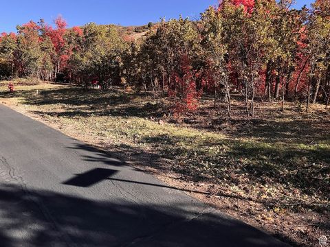 Vacant Land For Sale - 121 N Oakwood Cir #31<br/> Springville, UT 84663