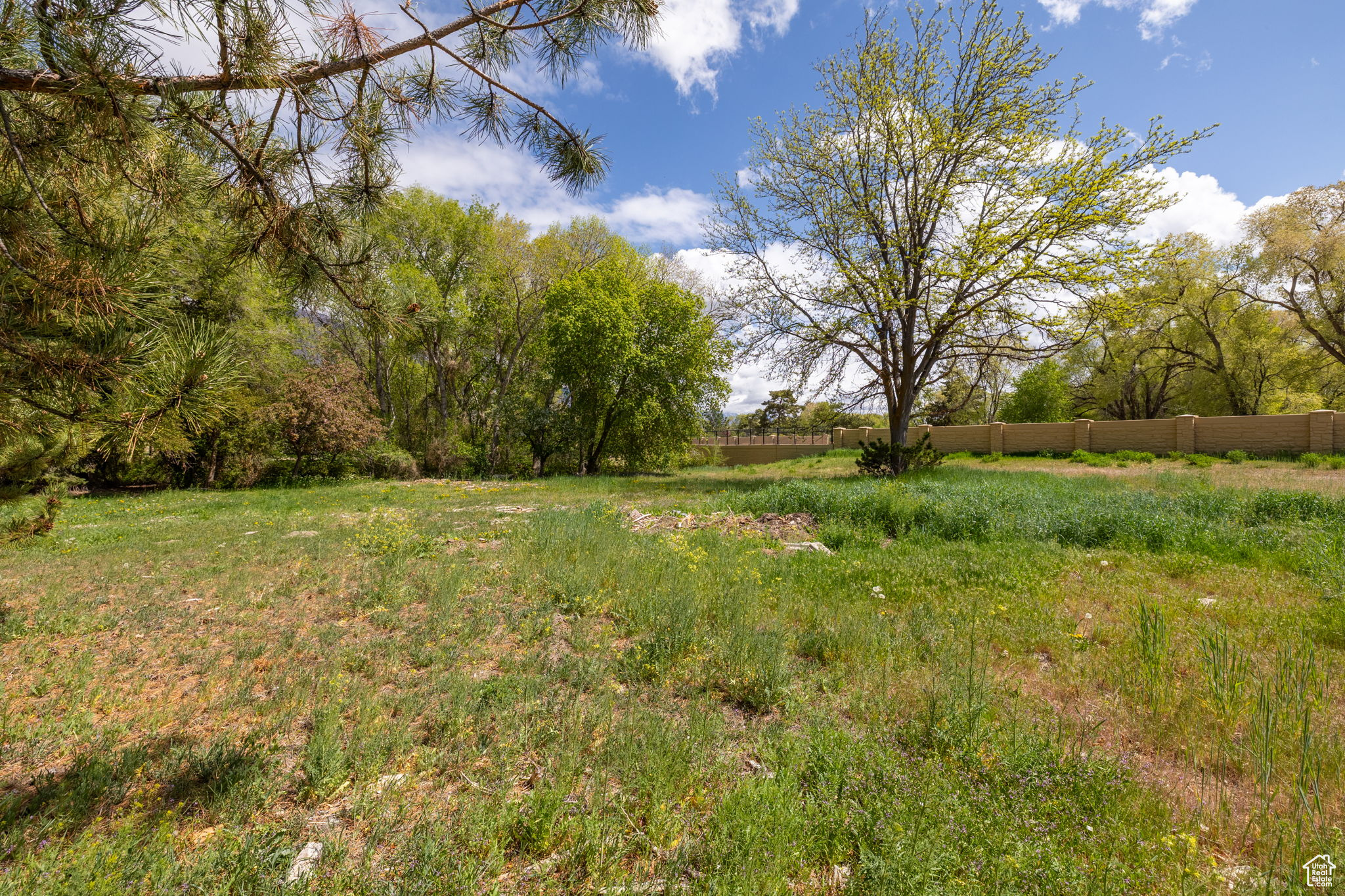9768 N Pheasant Dr #1, Highland, Utah image 13