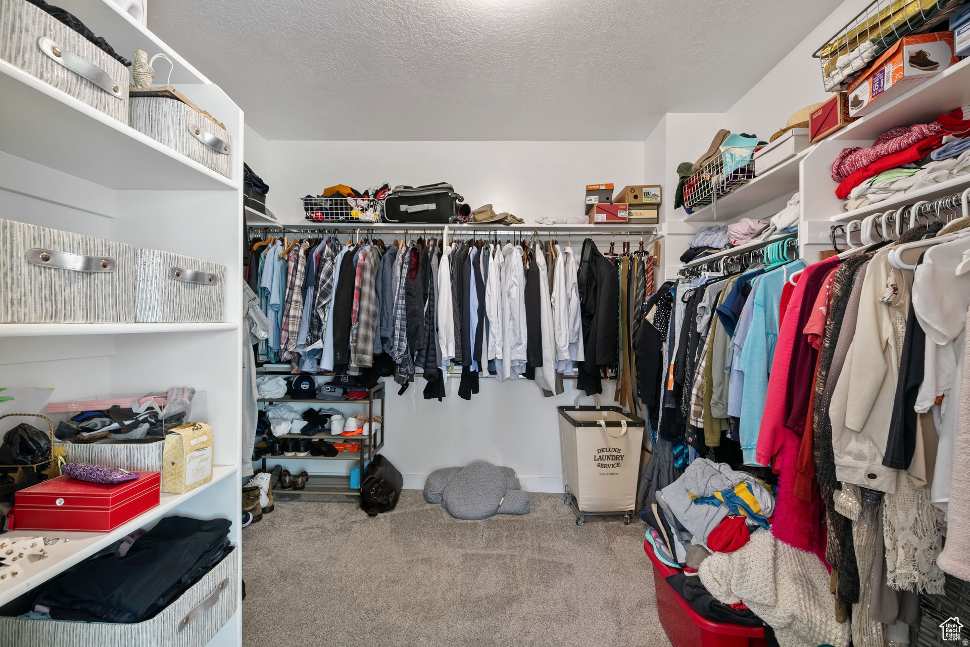 DIMPLE DELL - Residential