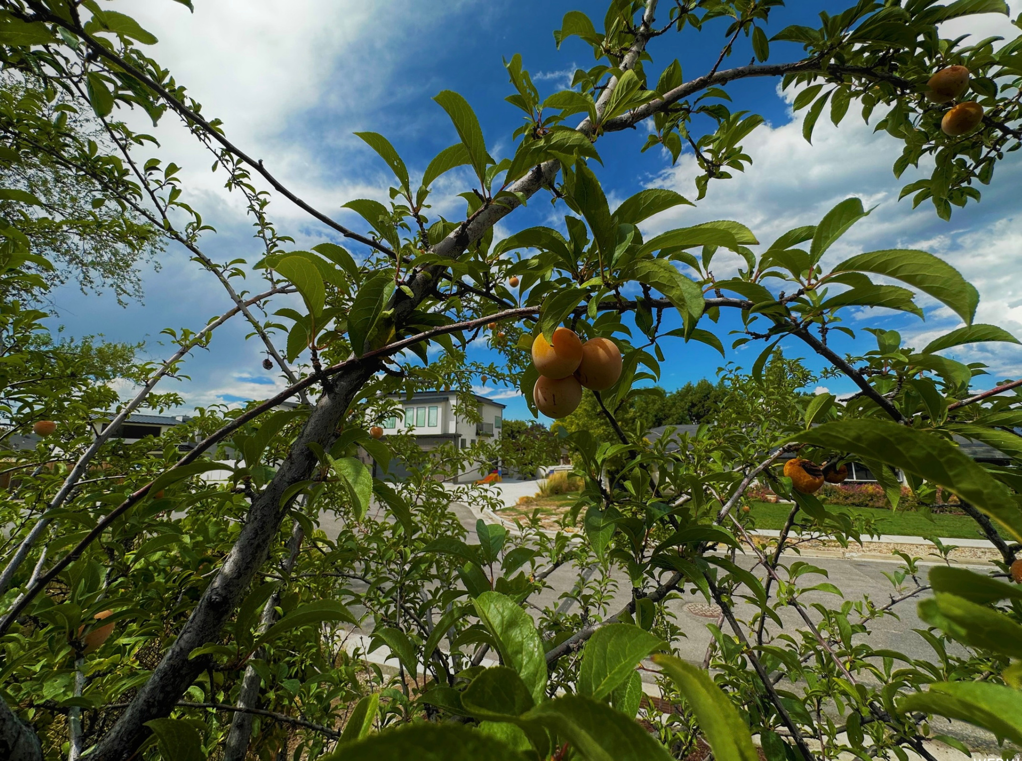 SAGE HILL - Residential