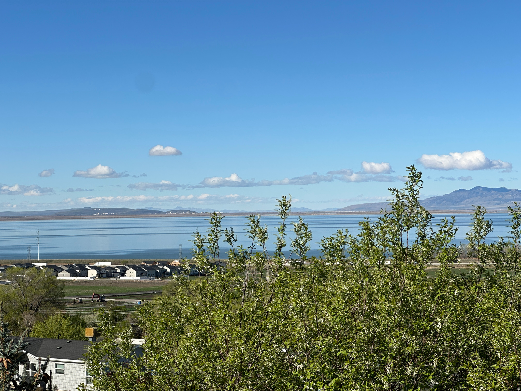 WILLARD - Residential