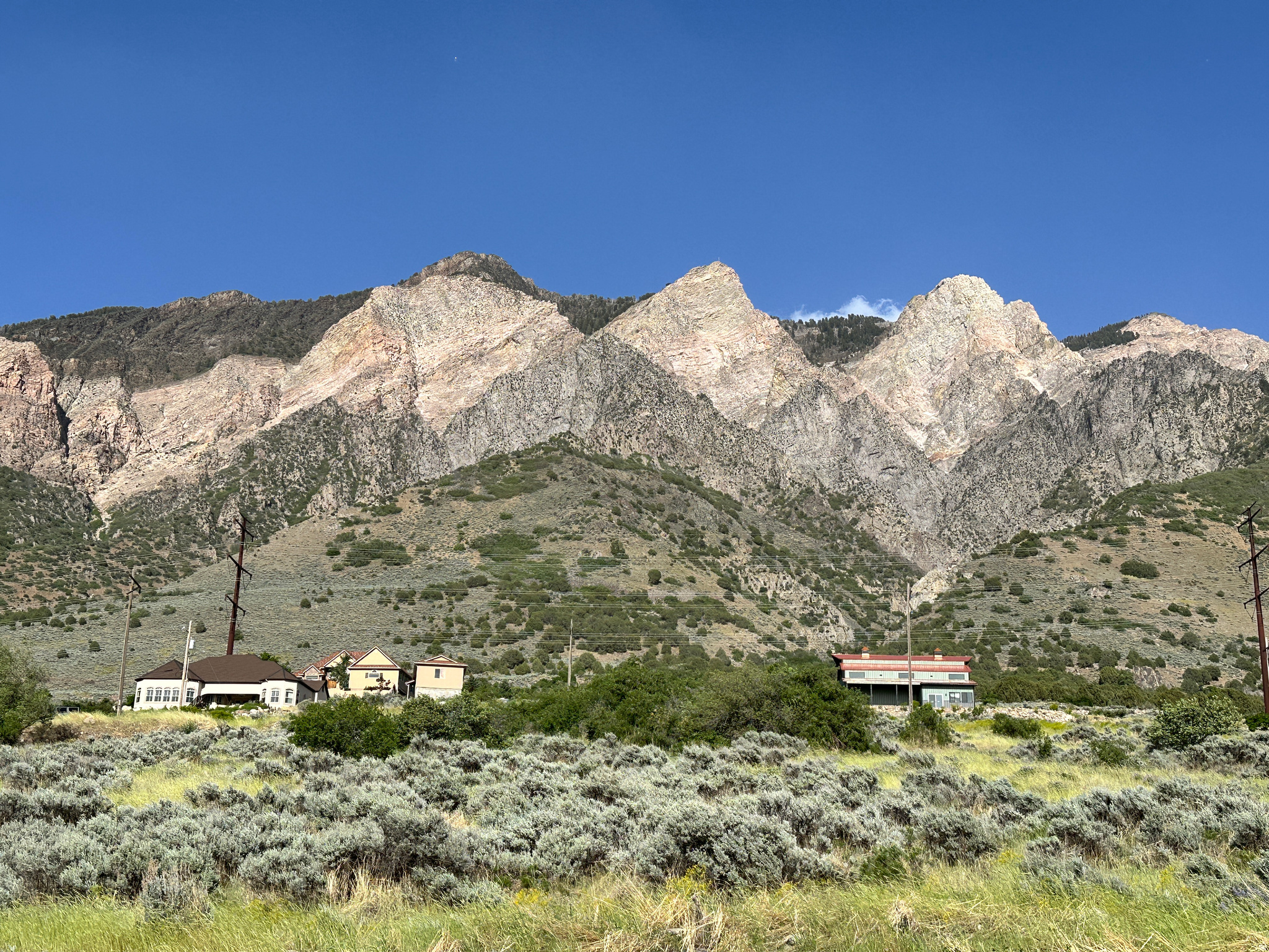 WILLARD - Residential