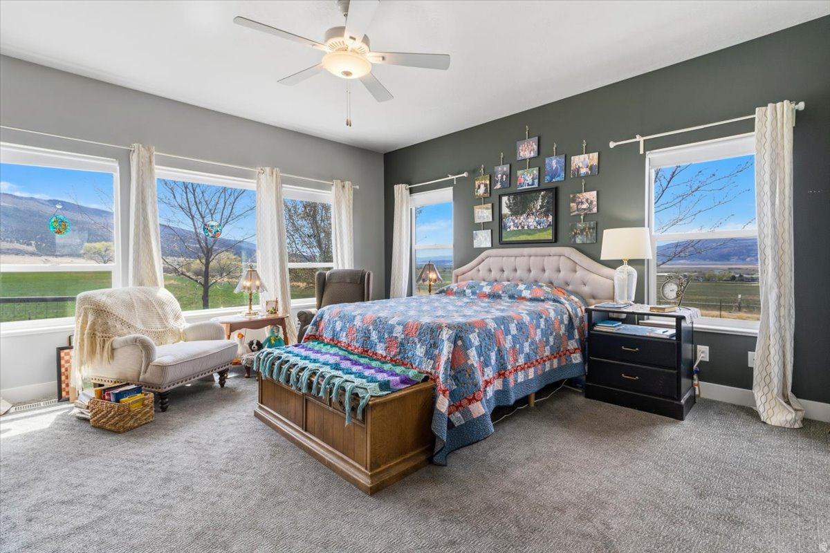 SHINGLE MILL SUBDIVISION - Residential