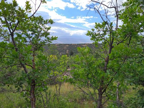 Vacant Land For Sale - 1132 E Shadow Way #1132<br/> Sanpete County, Fairview, UT 84629