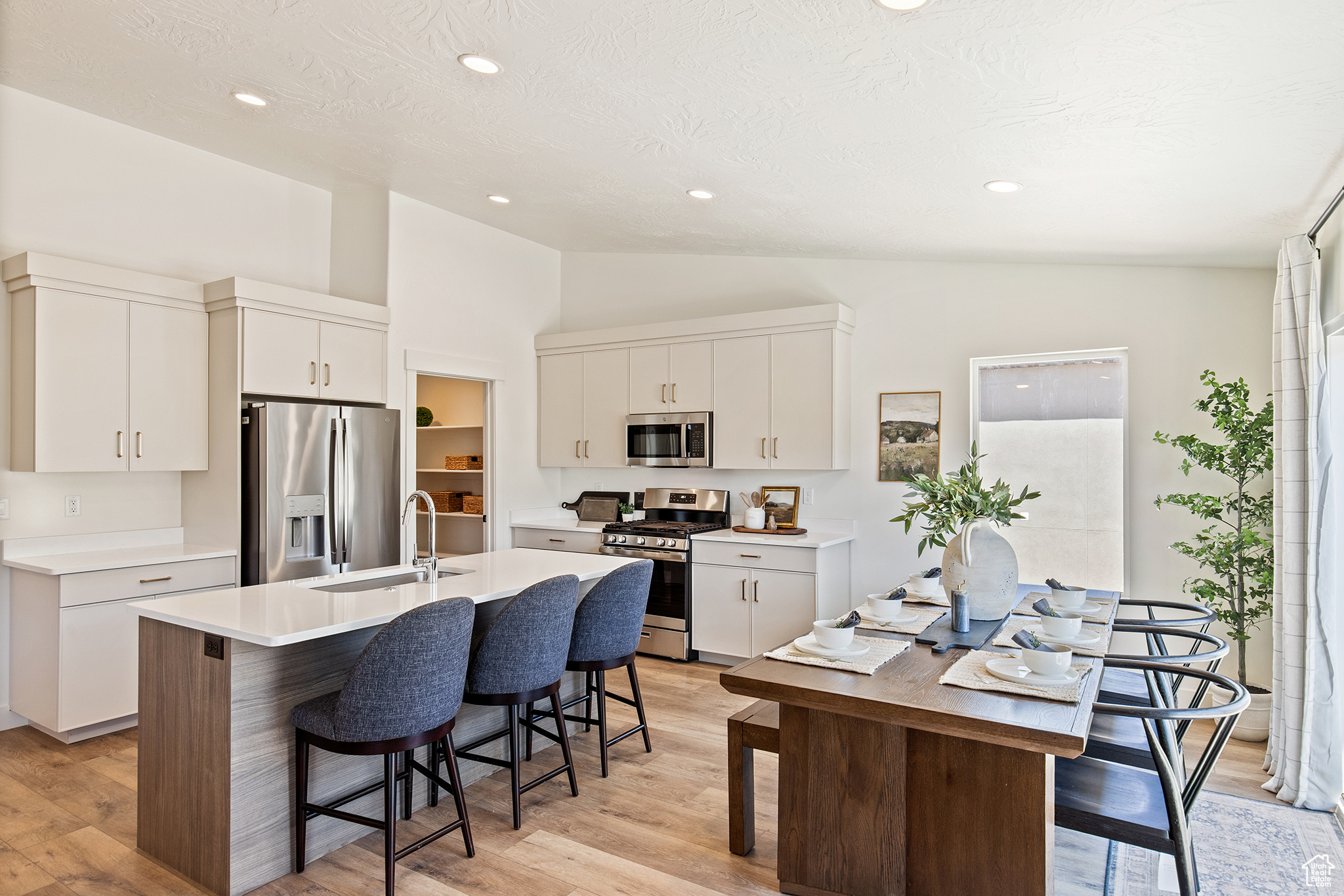 BLACK SAGE - Residential