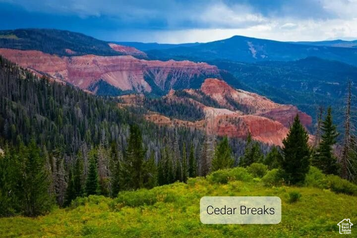 BLACK SAGE - Residential