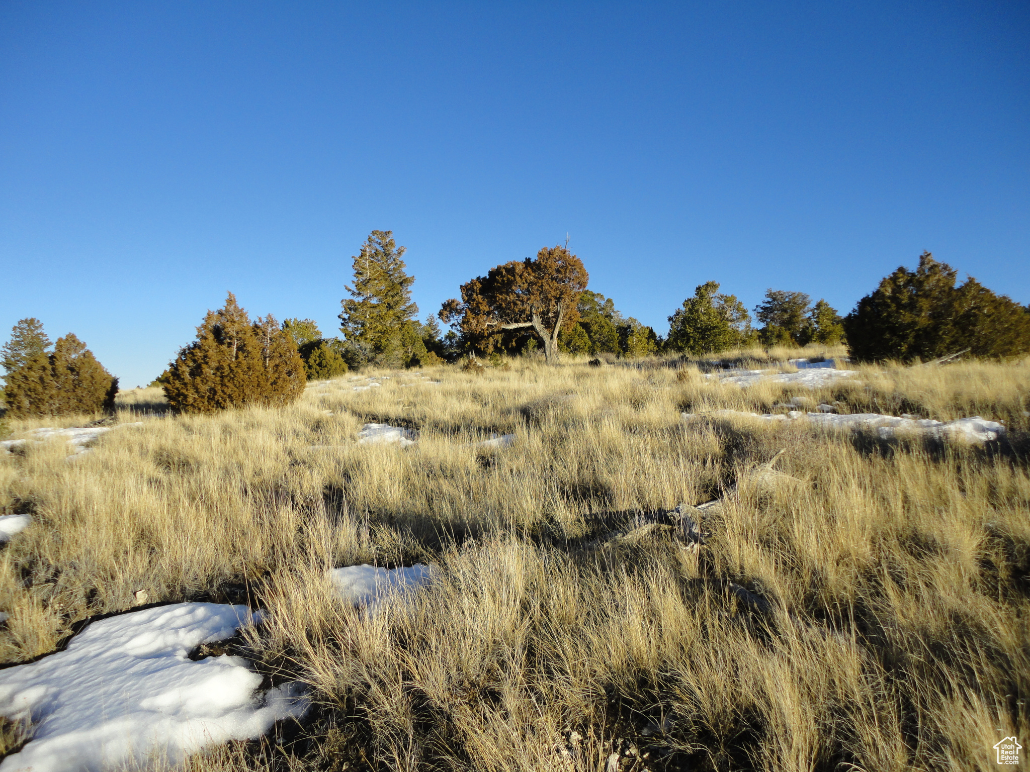 Land, Duchesne, Utah image 1