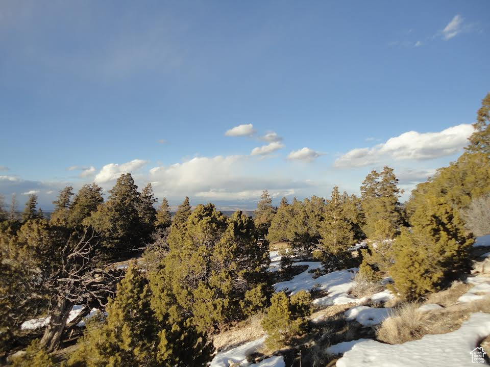 Land, Duchesne, Utah image 2