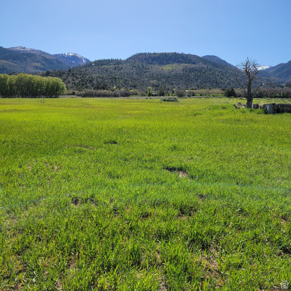 12125 E 14560, Mt Pleasant, Utah image 4