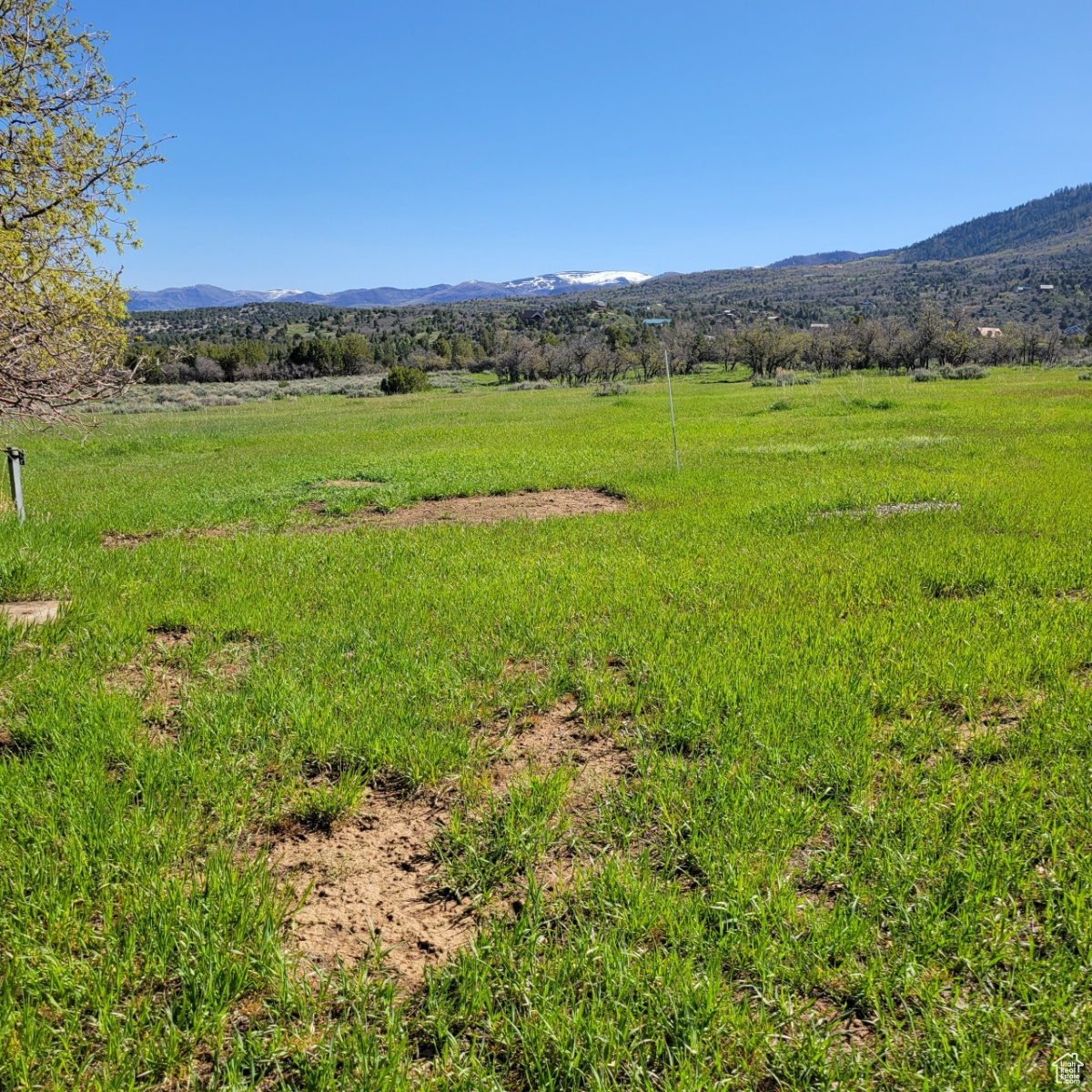 12125 E 14560, Mt Pleasant, Utah image 3
