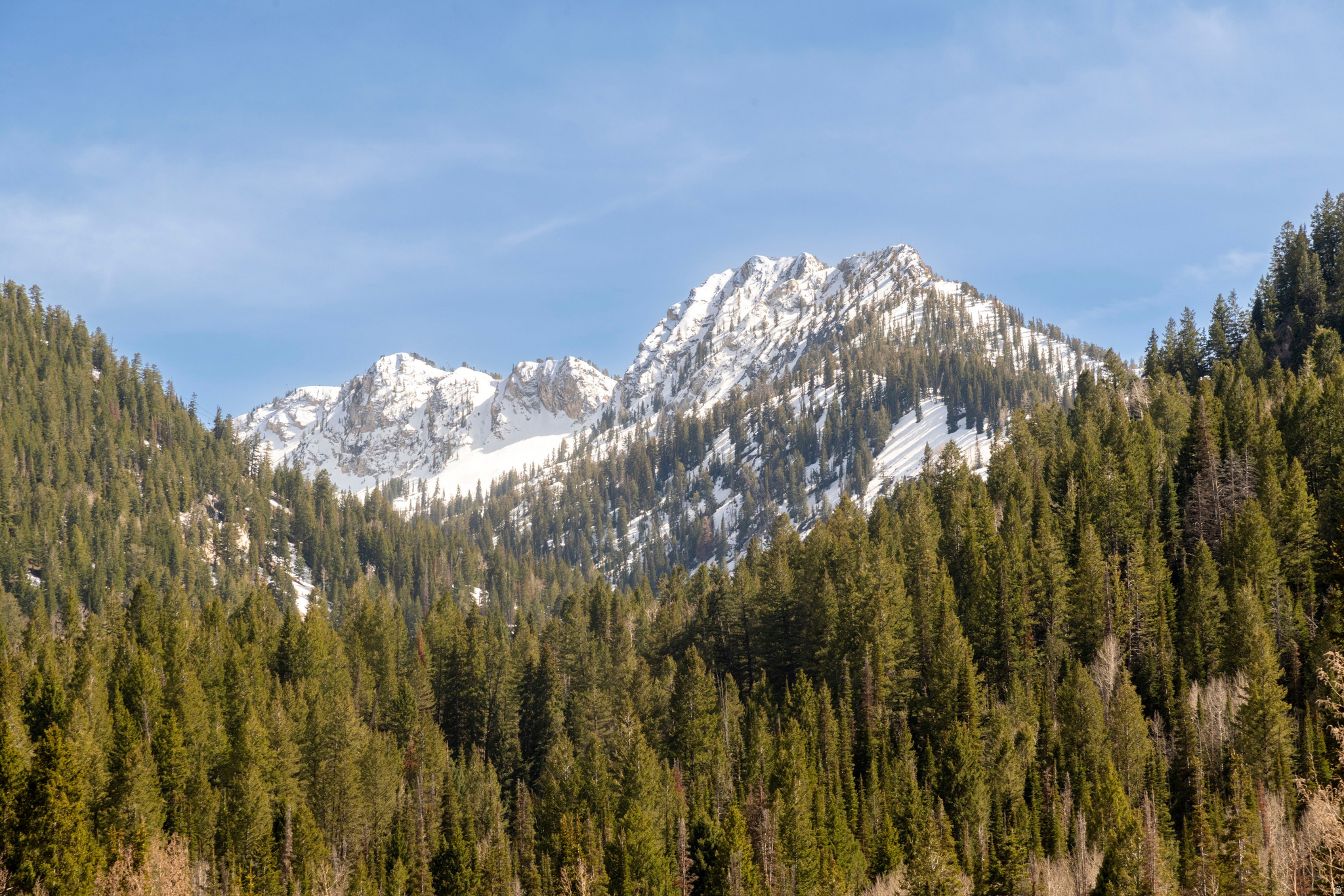 SILVER FORK - Residential
