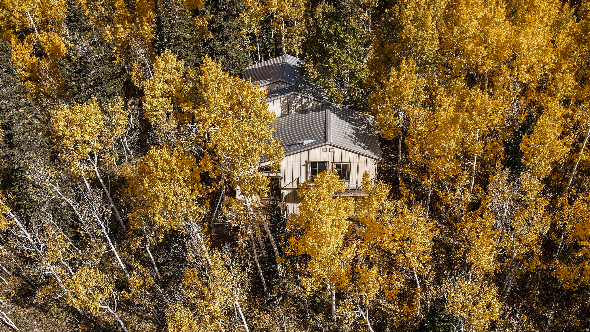 SILVER FORK - Residential