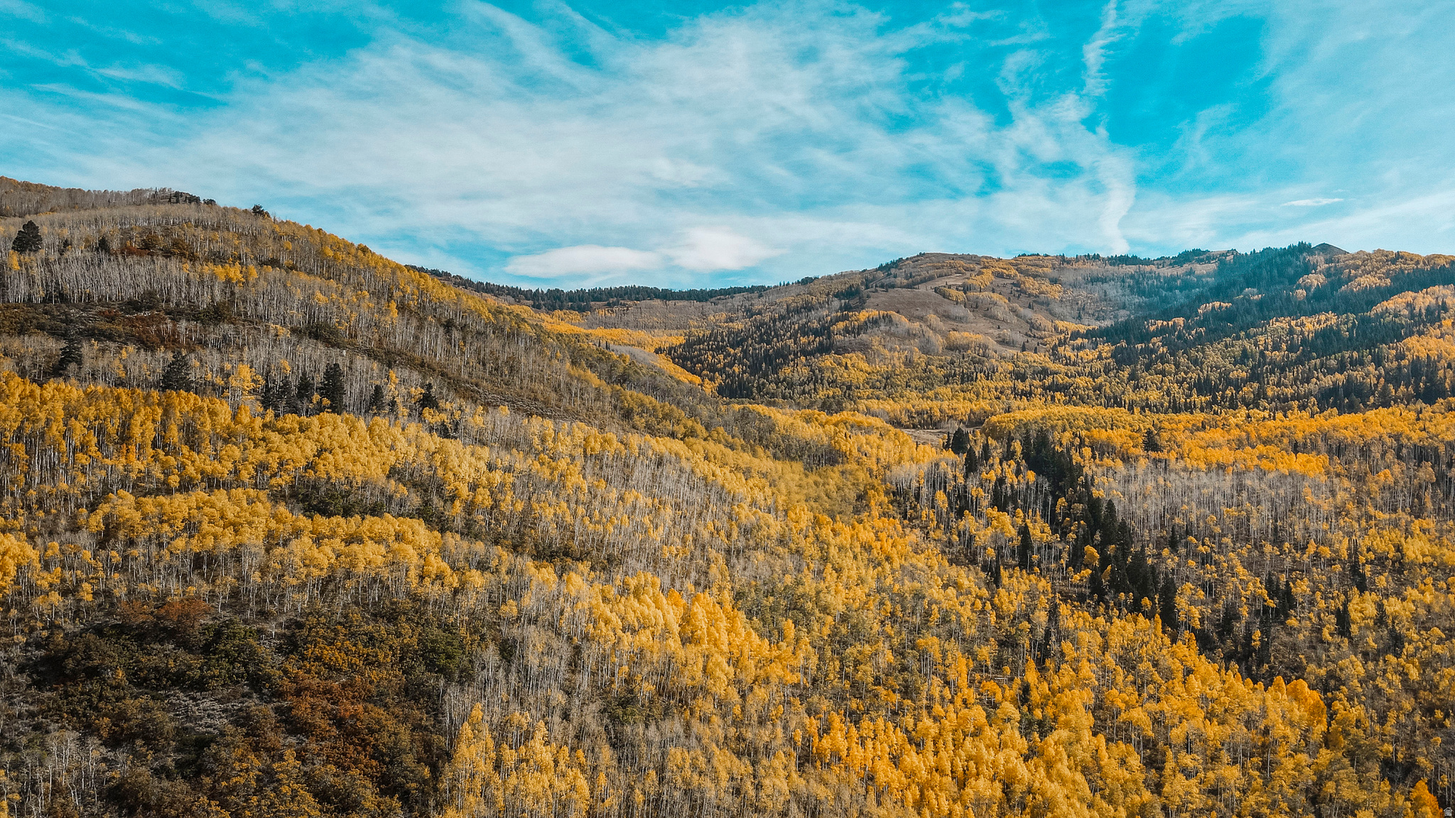 SILVER FORK - Residential