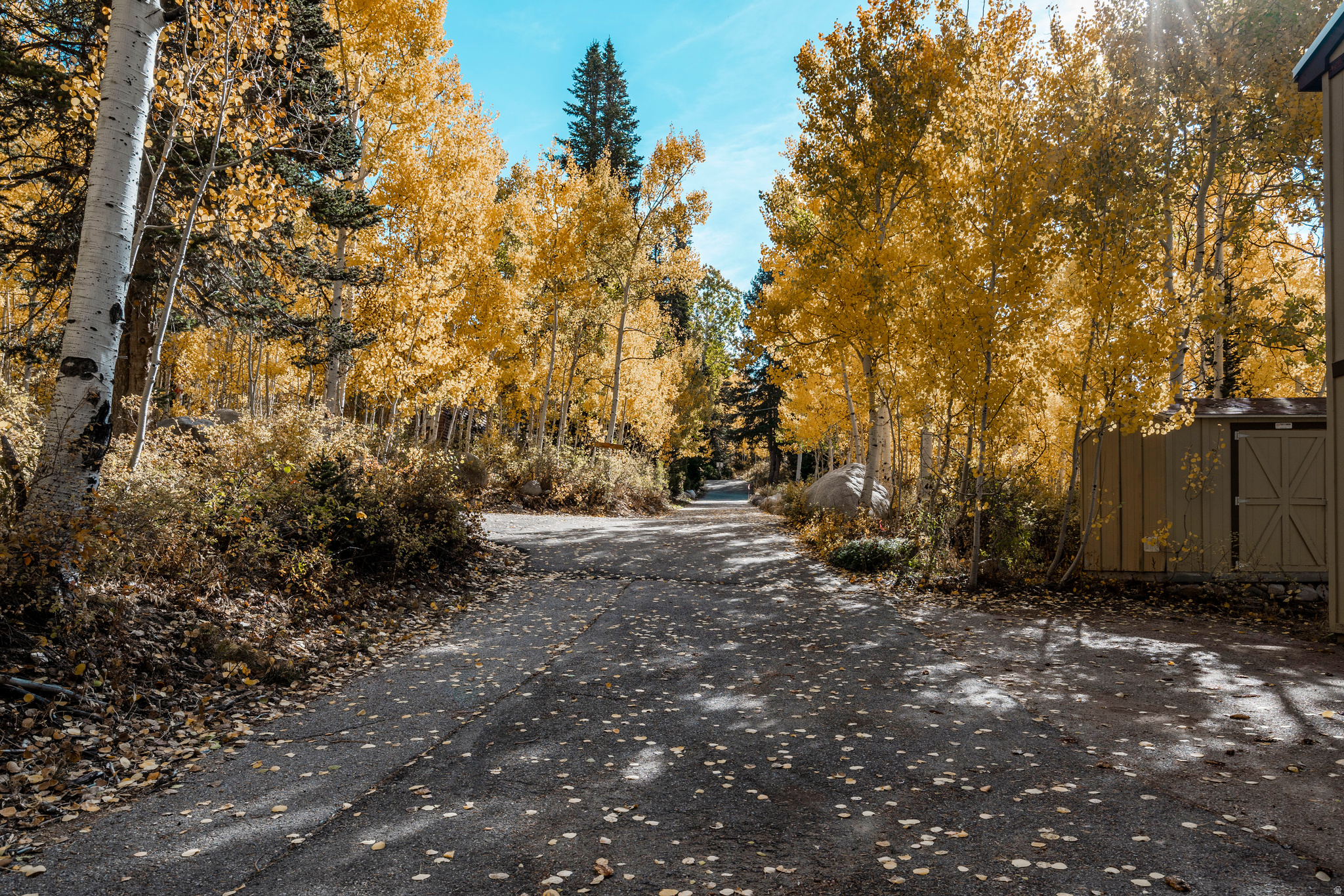 SILVER FORK - Residential