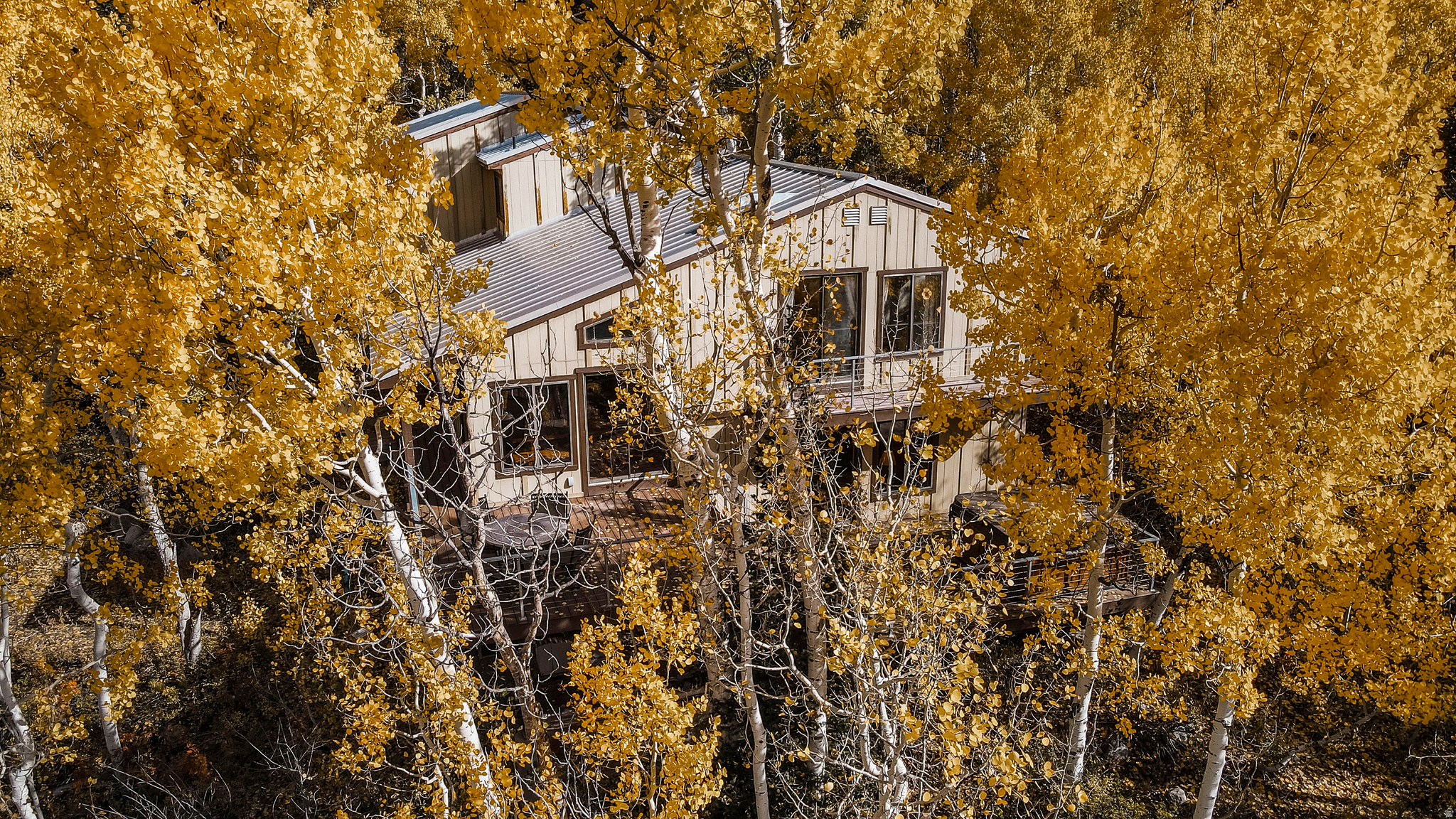 SILVER FORK - Residential