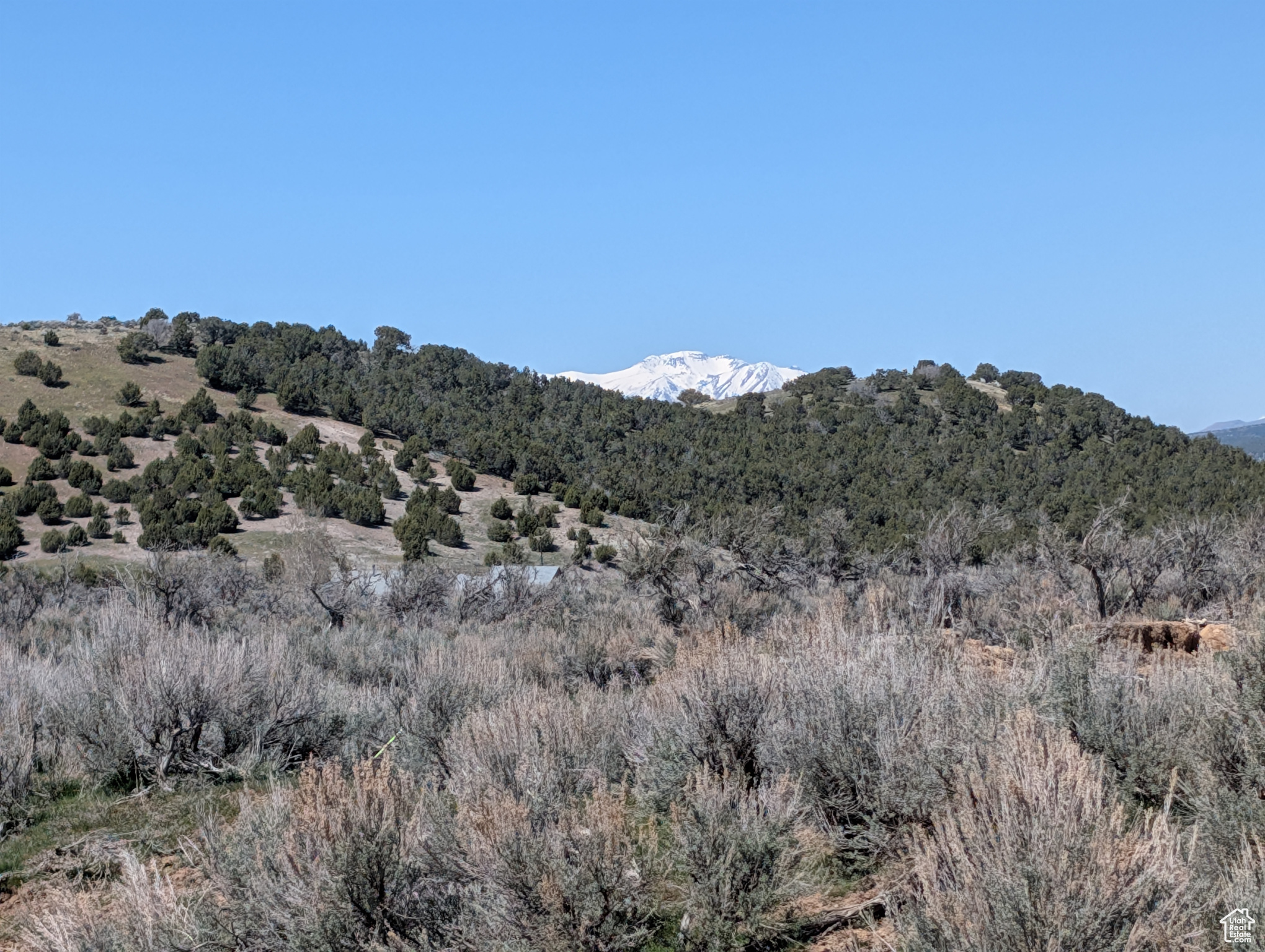 11799 Cove Creek Rd, Mt Pleasant, Utah image 4