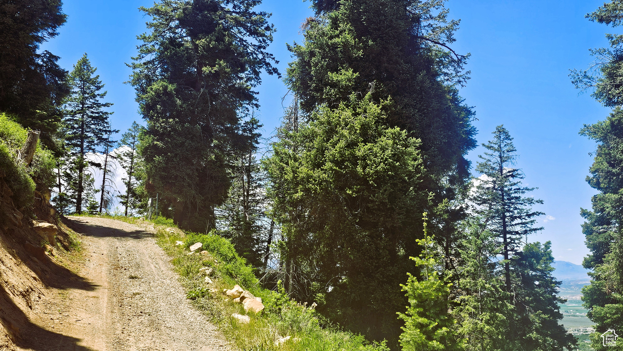 PINE CREEK RANCH ACRES SUBDIVISION - Land