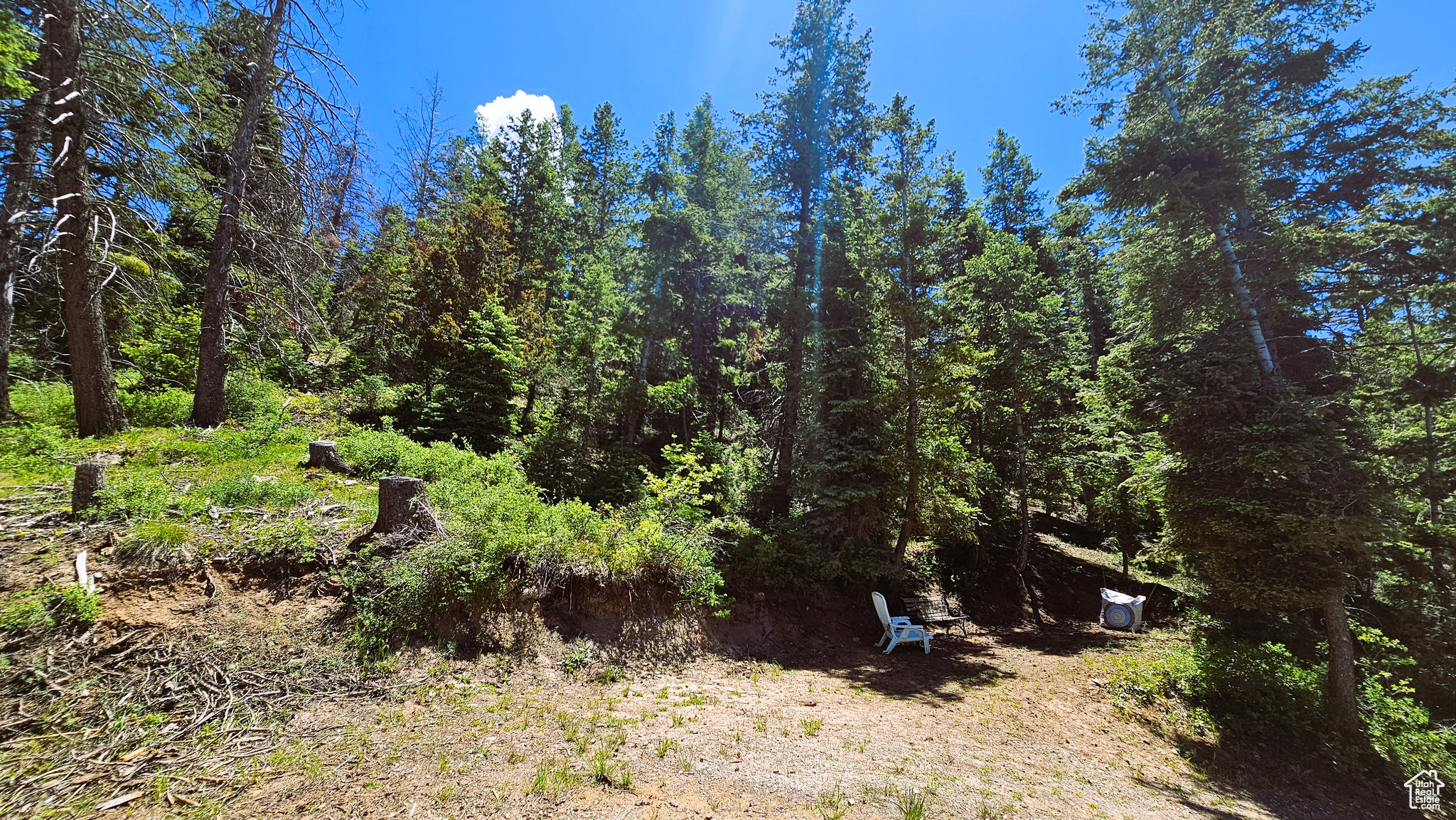 PINE CREEK RANCH ACRES SUBDIVISION - Land