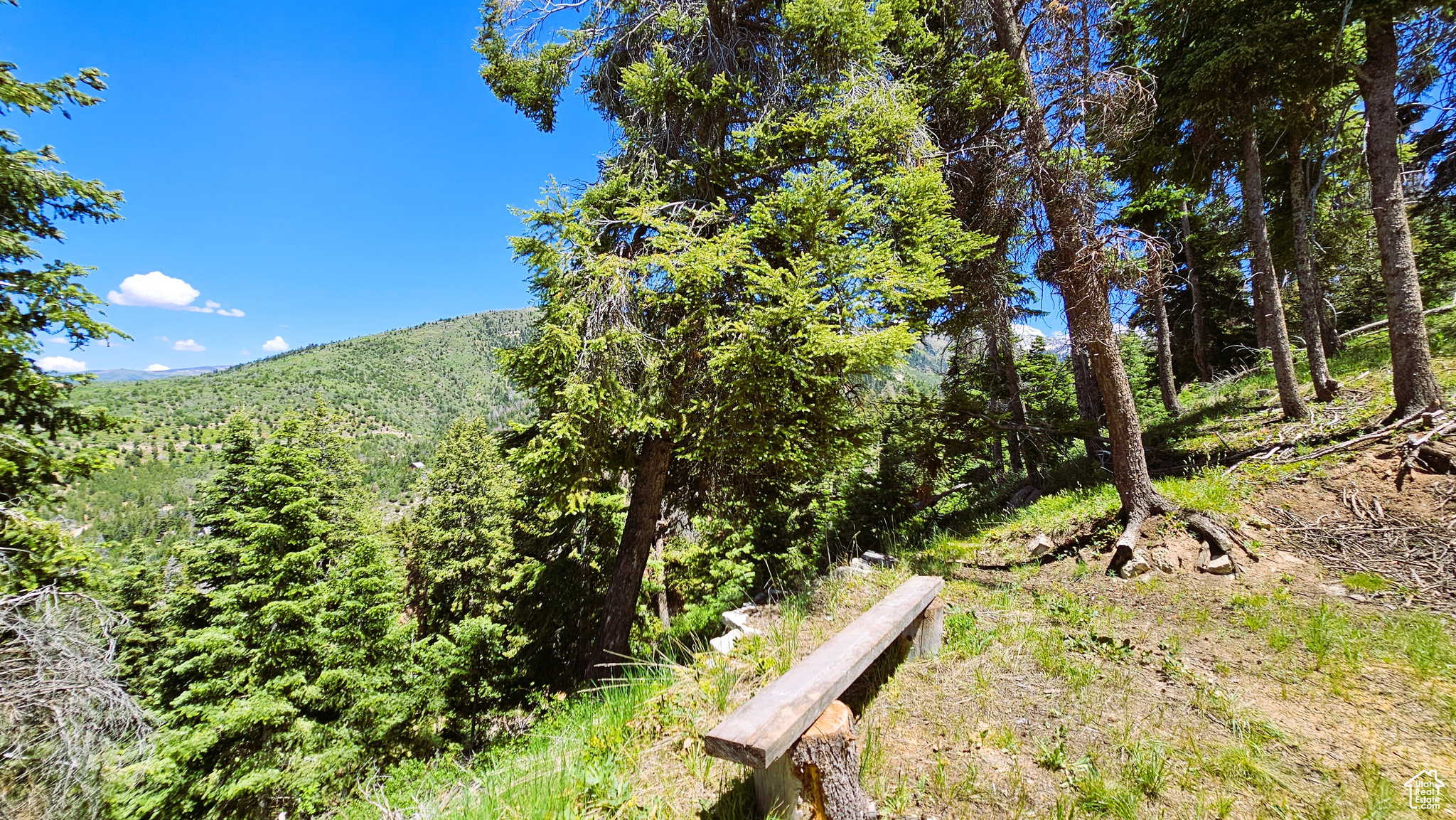 PINE CREEK RANCH ACRES SUBDIVISION - Land