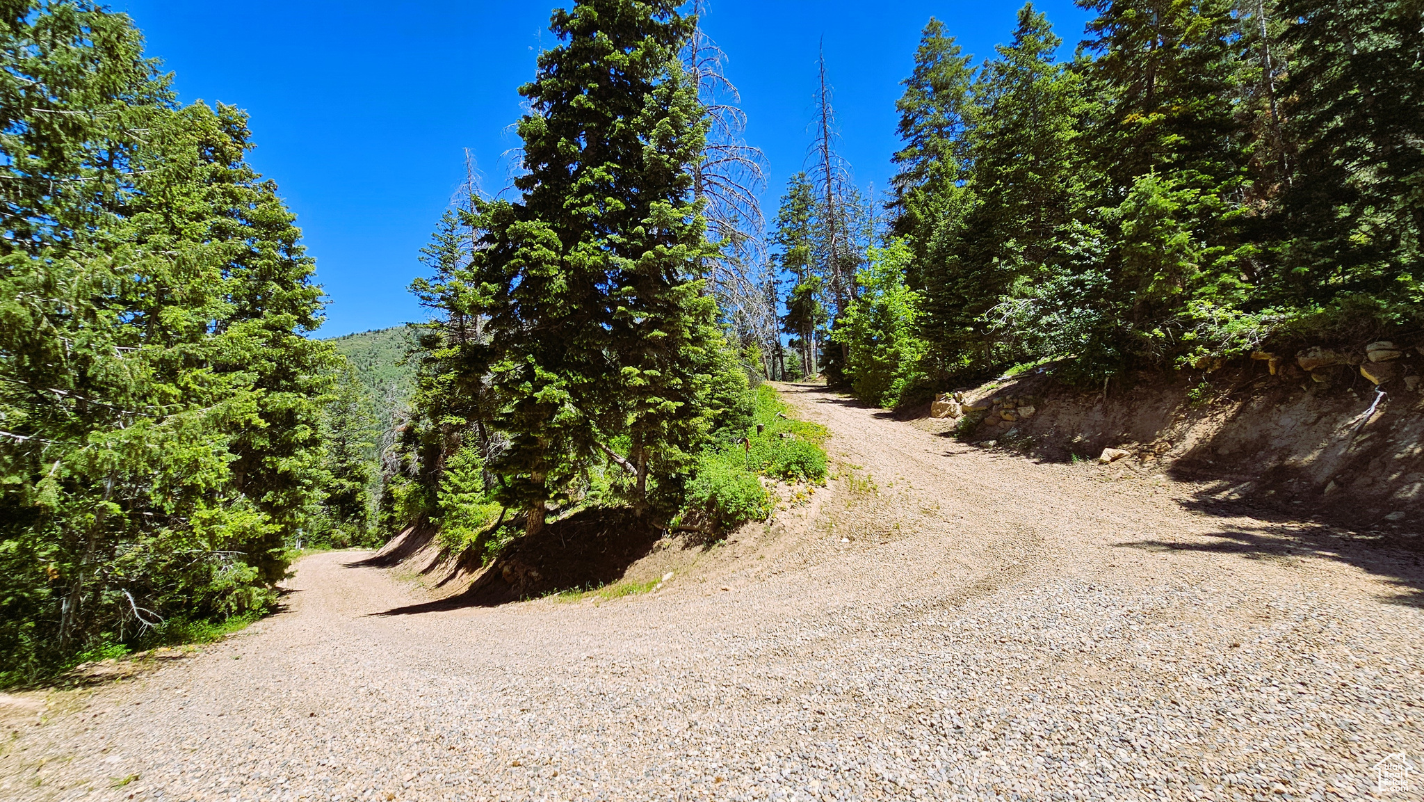 PINE CREEK RANCH ACRES SUBDIVISION - Land