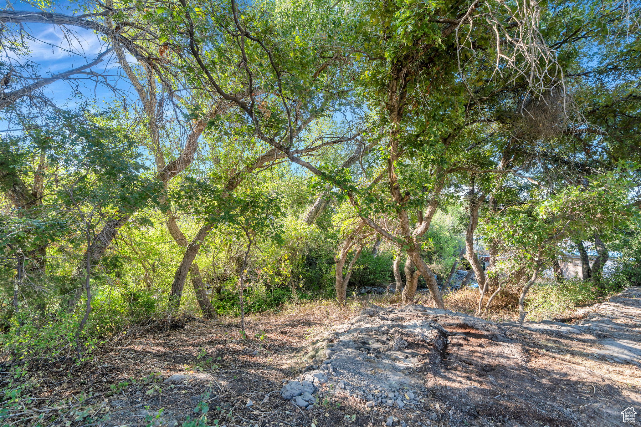 MOHOGANY RIDGE - Residential