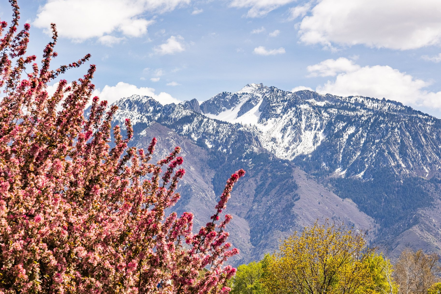 SANDY HEIGHTS SOUTH - Residential