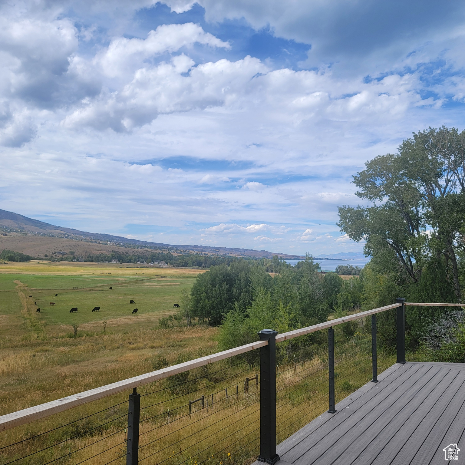 SWAN CREEK VILLAGE - Residential