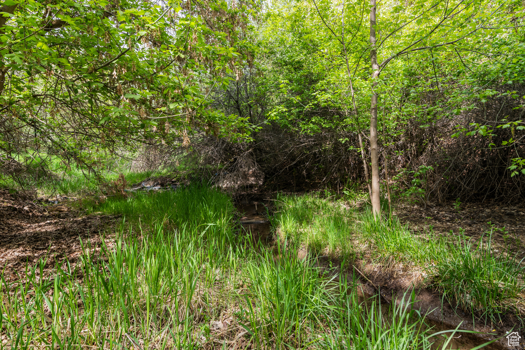 454 E Mutton Hollow Rd, Kaysville, Utah image 48