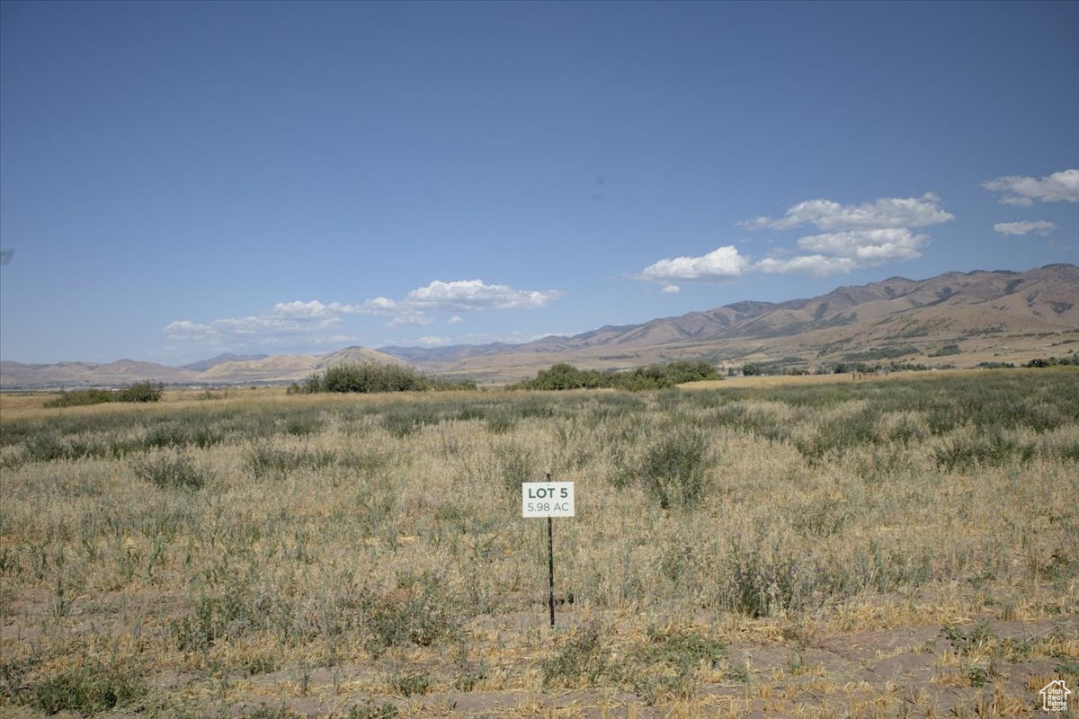 CUB RIVER ESTATES - Land