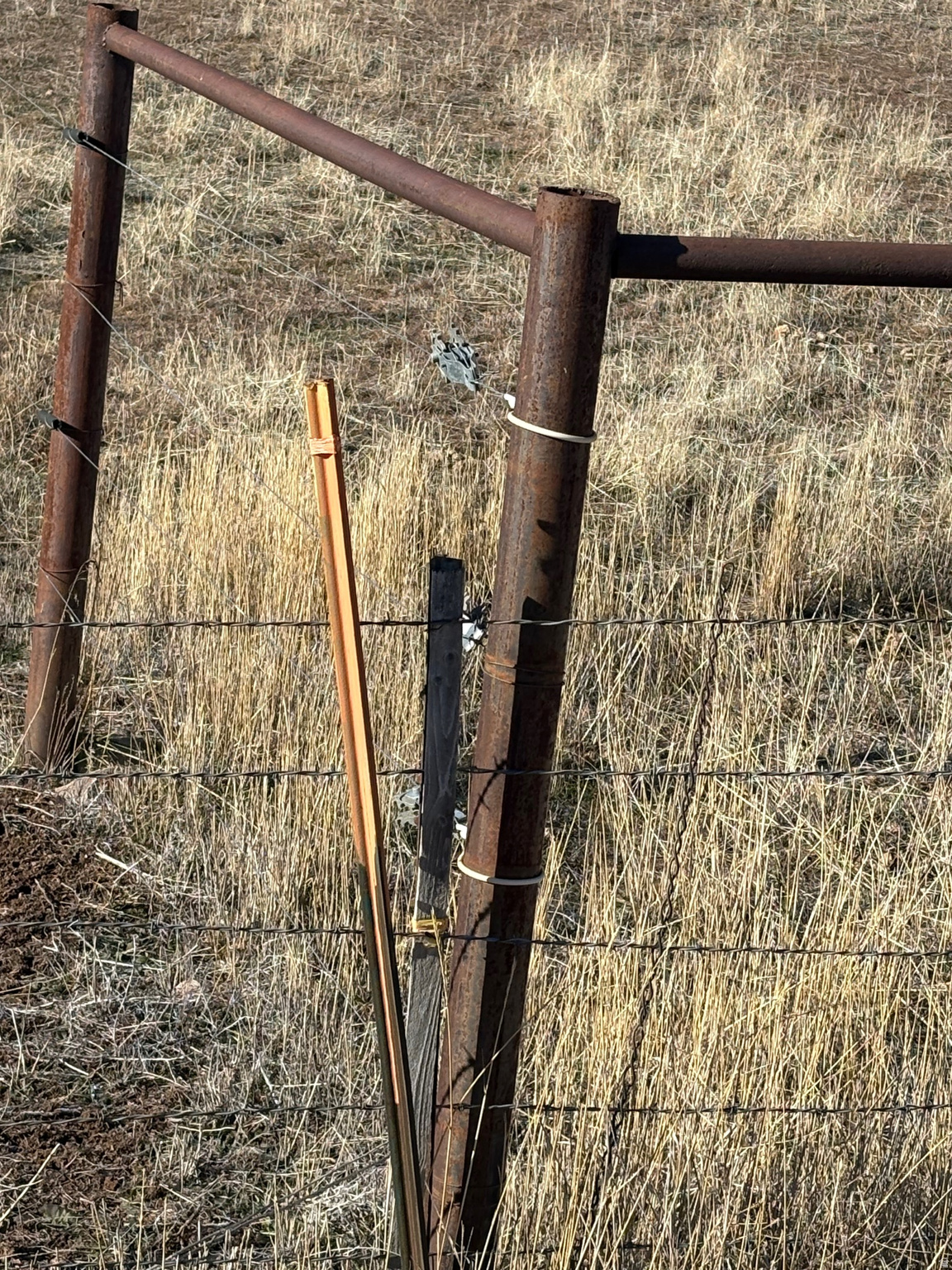 EDISON STEPHENS FAMILY TRUST PHASE 4 SUB - Land