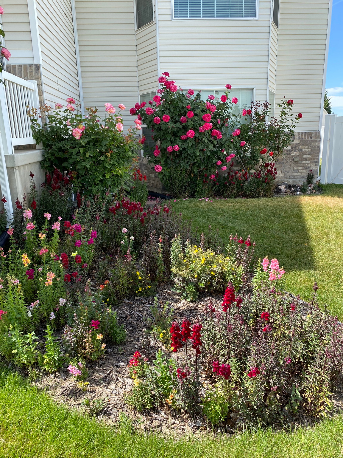 MEADOWS - Residential