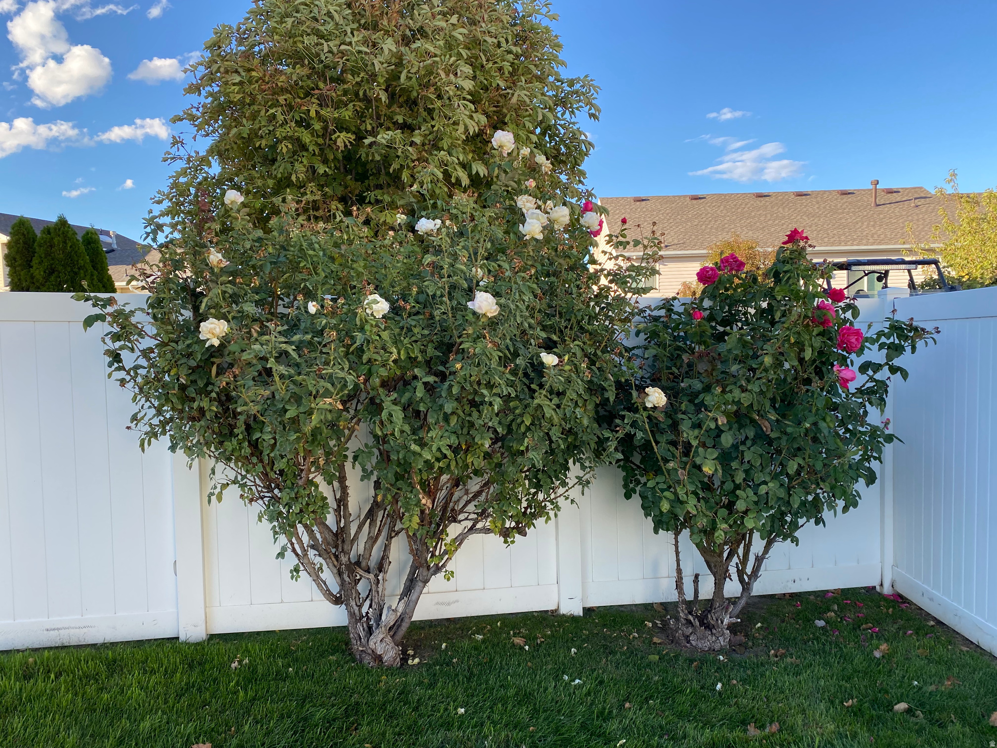 MEADOWS - Residential