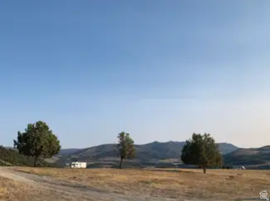 MOSIAD ORCHARDS - Land