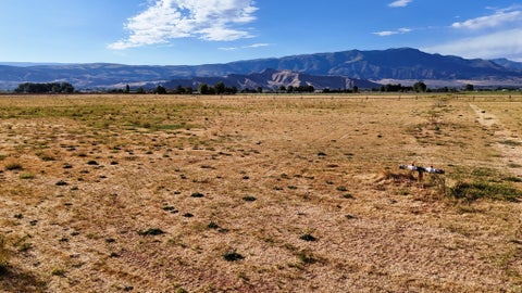 Tiny photo for 1539 N 2070 E, Richfield, UT 84701 (MLS # 2182997)