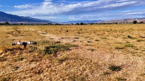 Tiny photo for 1539 N 2070 E, Richfield, UT 84701 (MLS # 2182997)