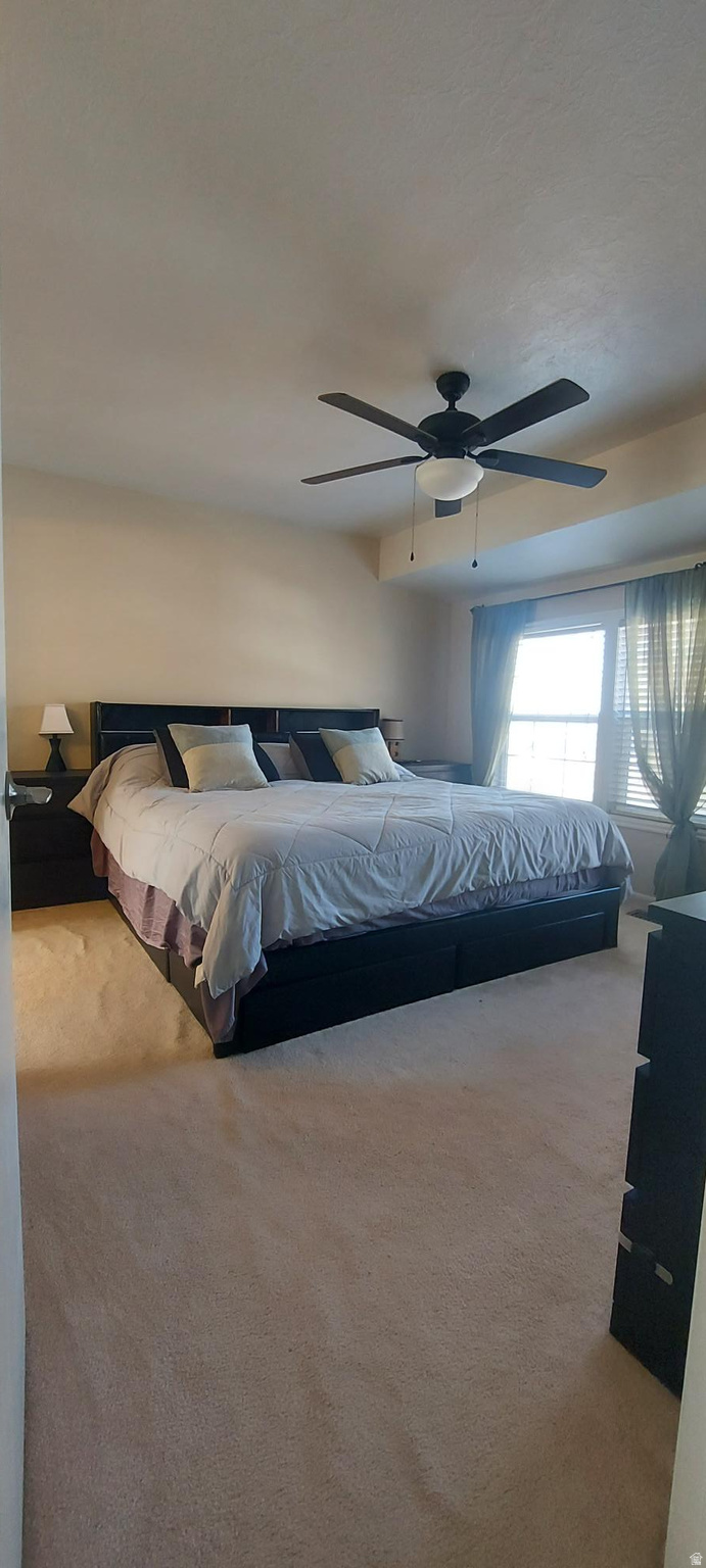 PHEASANT BROOK - Residential