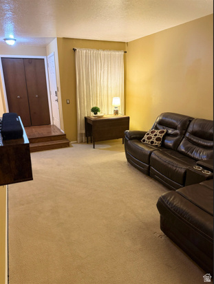 PHEASANT BROOK - Residential