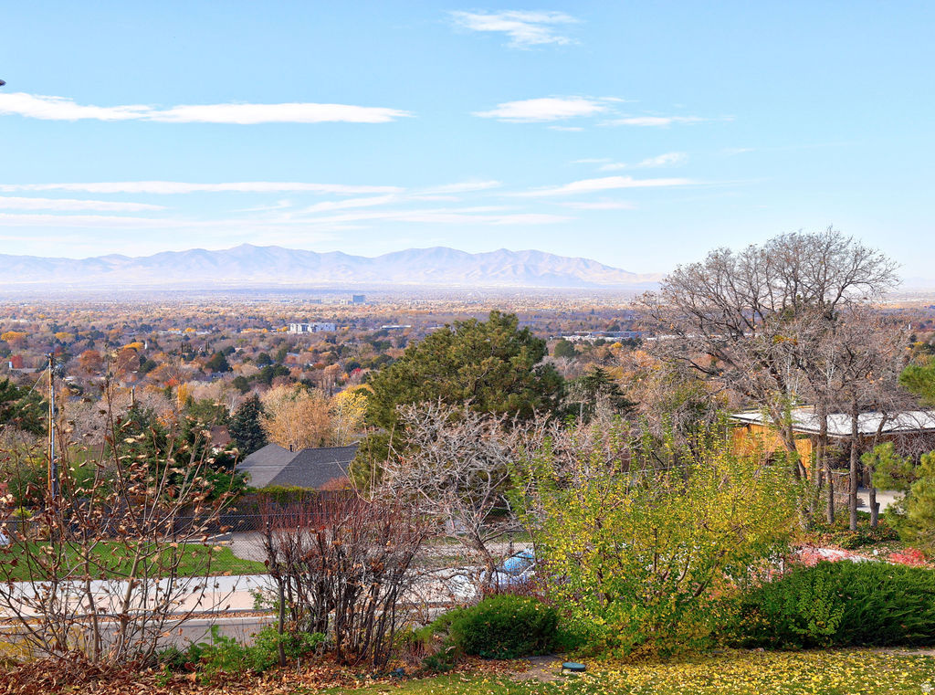 WALLACE LANE - Residential