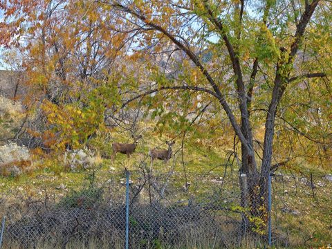 Tiny photo for 4755 S WALLACE LN, Holladay, UT 84117 (MLS # 2122905)
