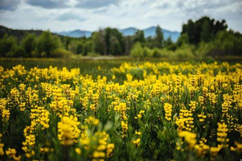 Tiny photo for 7559 E STARDUST CT #318F, Heber City, UT 84036 (MLS # 2128345)