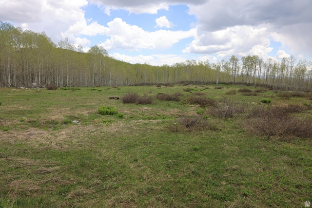 BRIGHTON ESTATES - Land